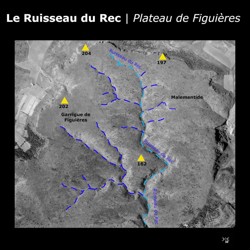 Le Rec 1962