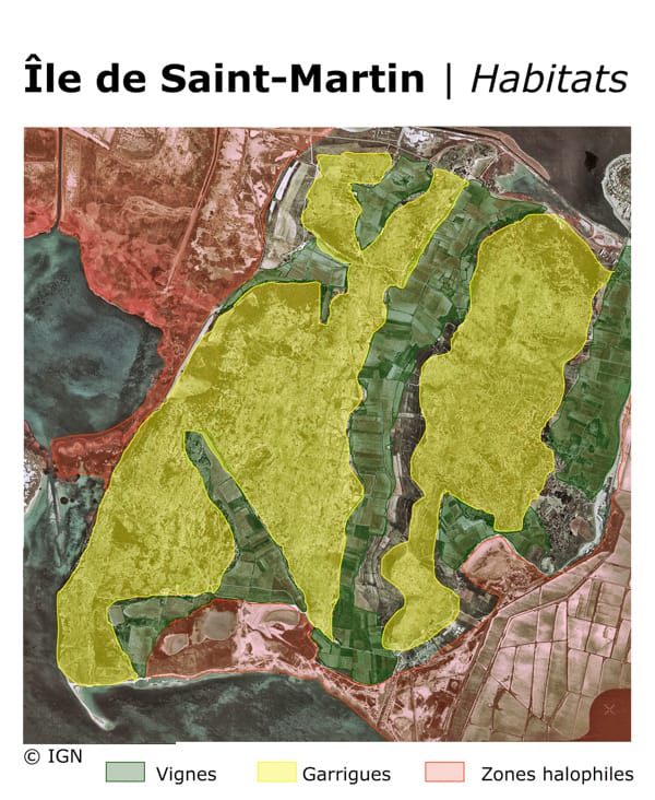1976: Photographie IR de l'île de Saint-Martin mettant en évidence les habitats (vignes, garrigues et zones halophiles) © IGN