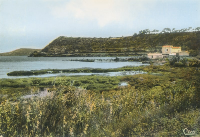 L'île de l'Aute et l'anse de l'Olivier en 1960