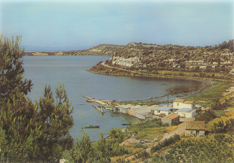 L'île de l'Aute et l'anse de l'Olivier dans les années 1960