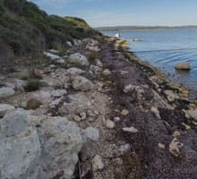 Rive Nord de l'île