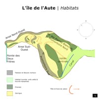 Schéma simplifié des habitats de l'île de l'Aute