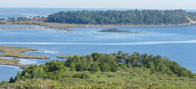 Vue sur l'île Sainte Lucie et le canal des Romains (anciennement canal des étangs) 