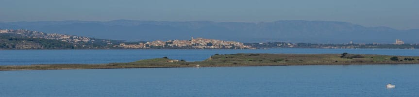 L'île de la Planasse, Bages et la cathédrale de Narbonne