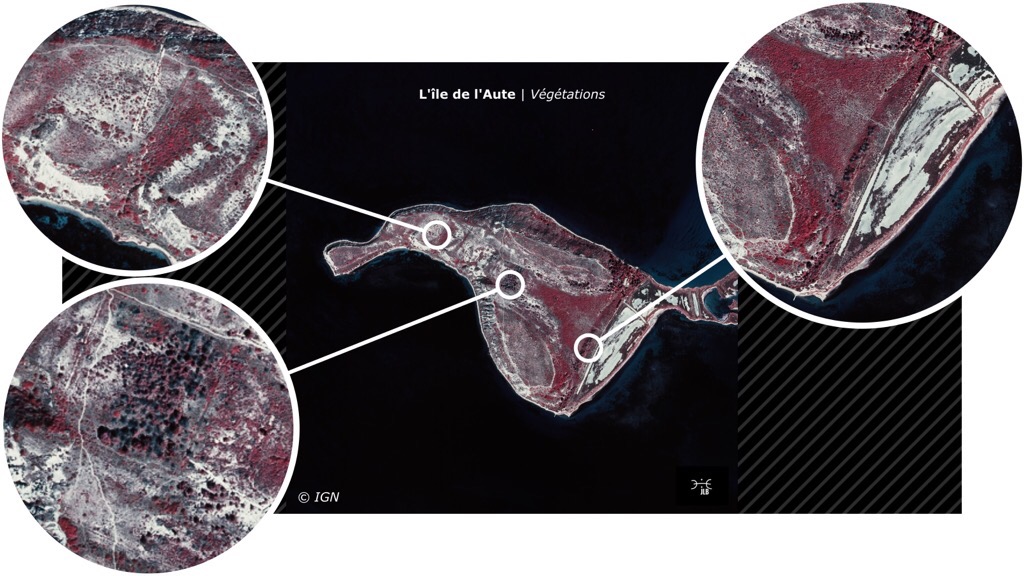 photographie IR de l'île: mise en évidence des zones (juillet 1976) © IGN