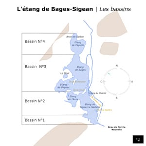 Carte de l'étang de Bages Sigean et de ses bassins