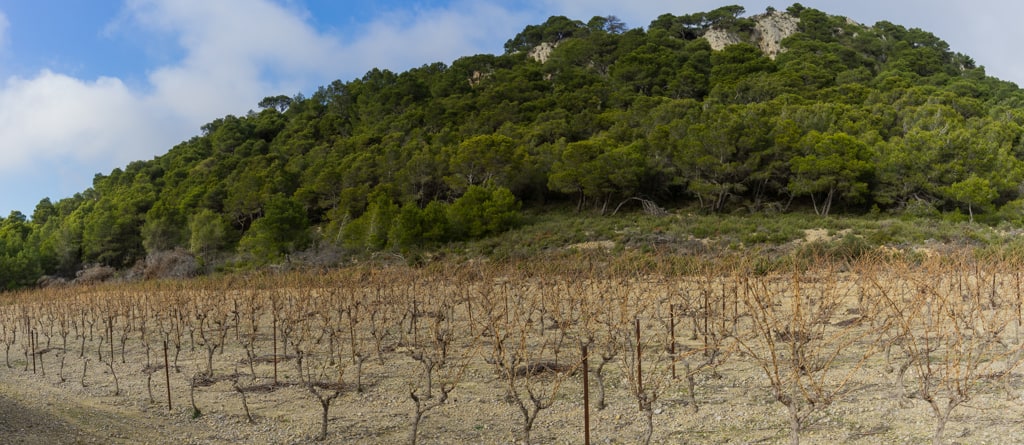 Le plateau du Castela depuis les vignes de la fontaine des Chevriers