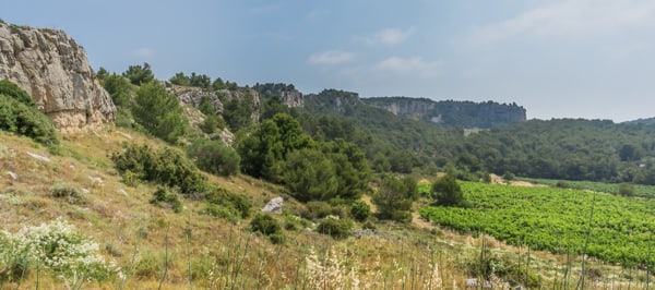 Plan Vigné | Plateau de Figuières