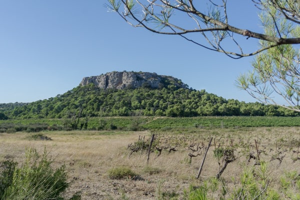 Butte témoin | Coffre de Pech Redon