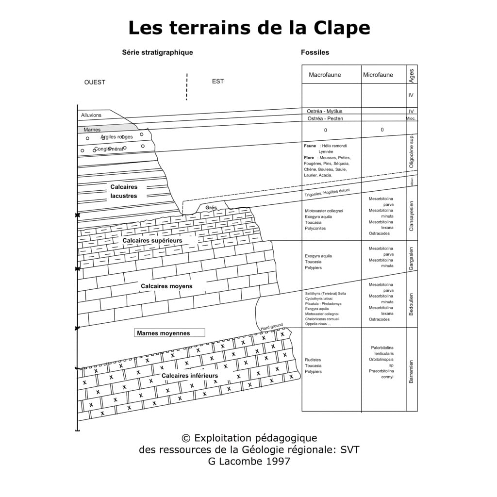 Stratigraphie de la Clape © G. Lacombe 1997