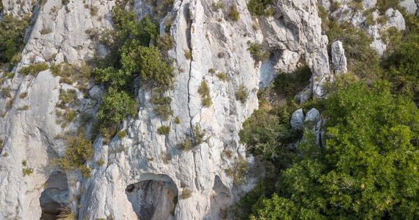 les arches de Vente Farine