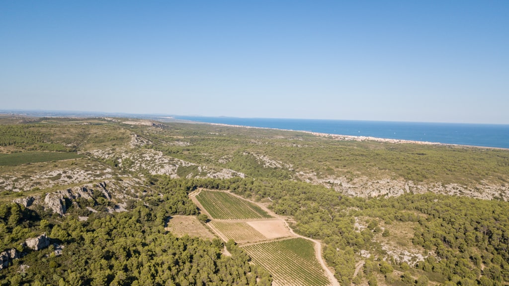 Depuis Vente Farine, vue nord de la combe des Colombiers, la combe Labit, les Crêtes et le plan de Cabrerisse.