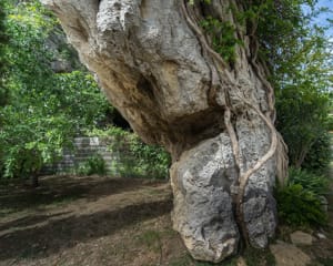 La grotte des Karantes et l'aiguille calcaire