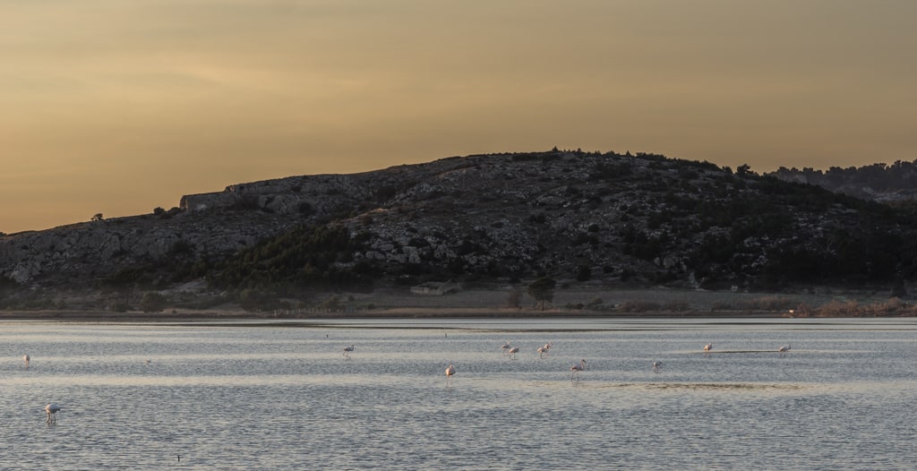 Le Pech de Foncaude et les ruines de la bergerie depuis Gruissan