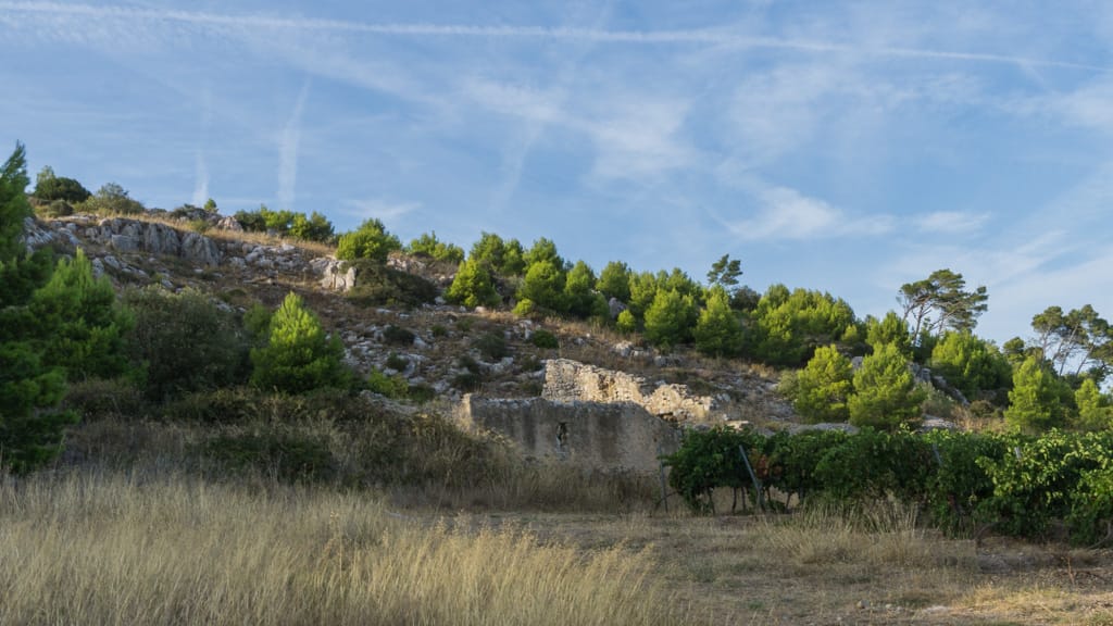 La bergerie en ruines de Fontcaude