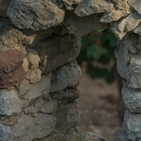 La bergerie en ruines de Fontcaude