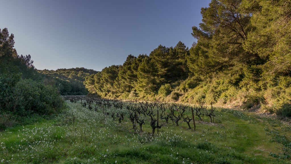 L'entrée de la combe