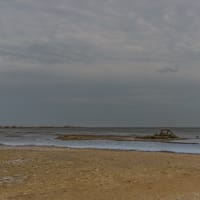 Vue sur les cabanes de pêcheurs de l'Ayrolle