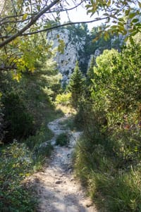 Habitat des berges