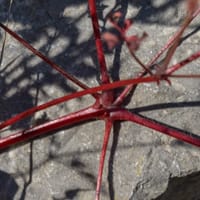 Tige Géranium rouge (Mai)