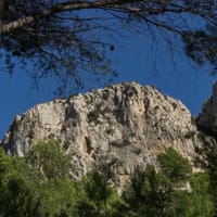 Falaise des Caunes au dessus de la grotte de la Crouzade