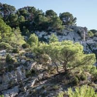 La falaise de la Goutine vue depuis les marmites: Relief structural monoclinal. Observation du pendage