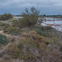 Talus sur la rive Ouest de l'étang de Mateille en Octobre