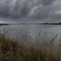 Roselières (Rive Est) depuis le pont des Ayguades