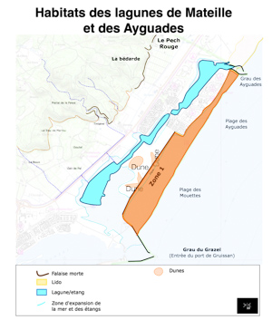 Localisation zone 1: Entre la mer et la digue