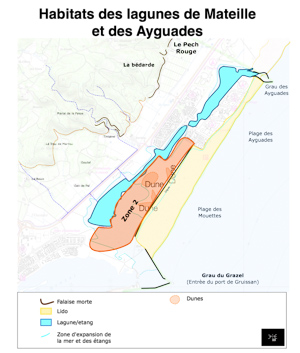 Localisation zone 2: Entre la digue et l'étang de Mateille