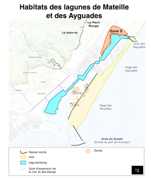 Localisation zone 5: rive Ouest de l'étang des Ayguades