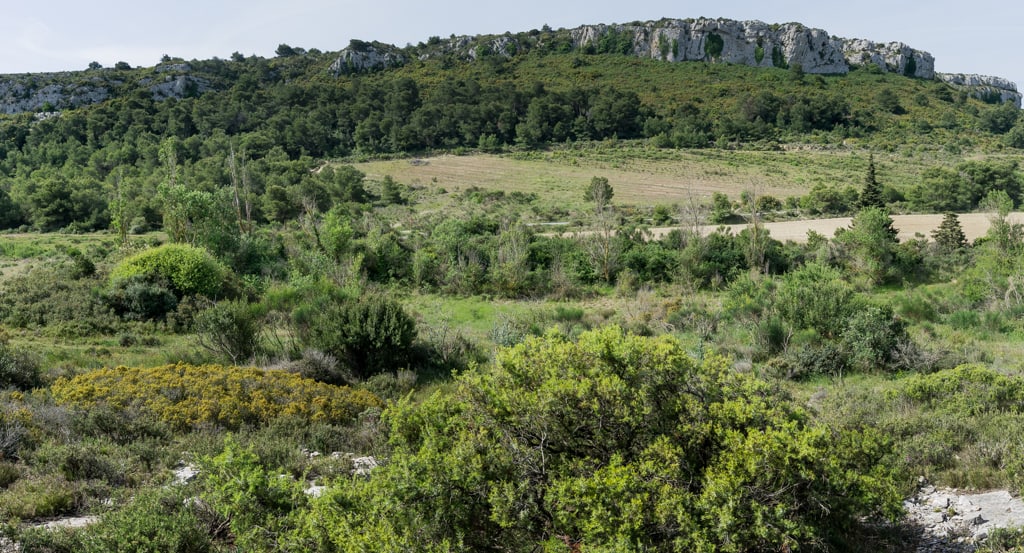 Vue sur la mare