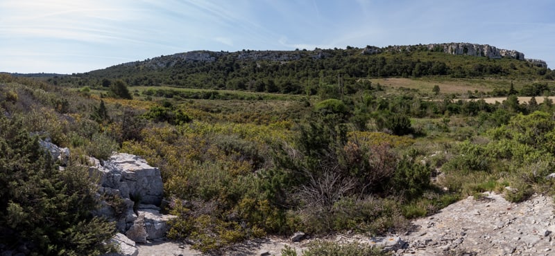 Vue est sur le plateau de Figuières (Mai)