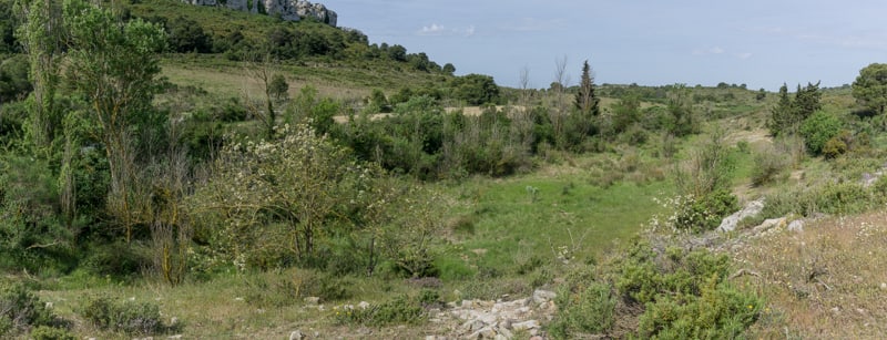 La mare asséchée dans sa plus grande partie et sa végétation (mai)