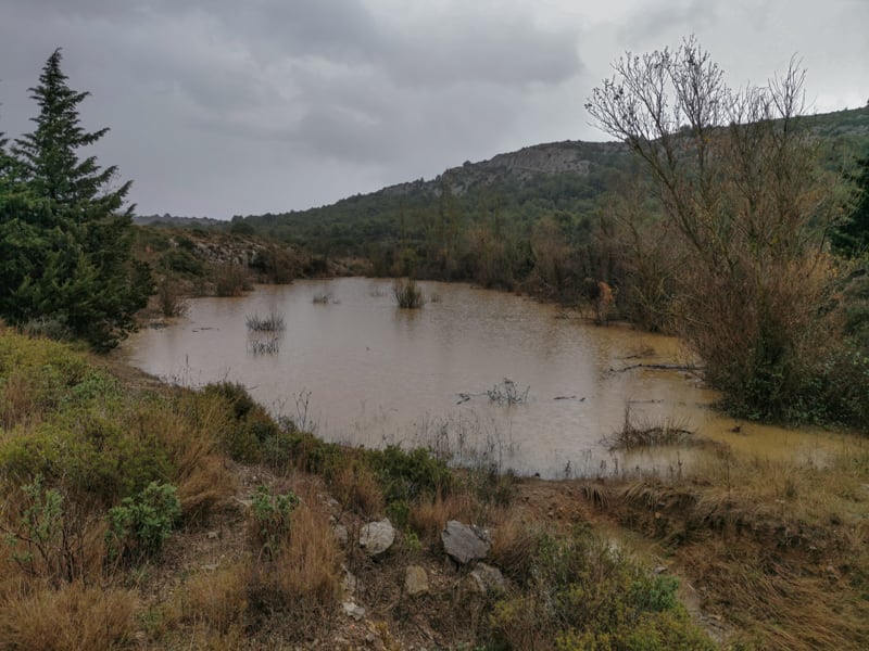 La mare  (novembre)