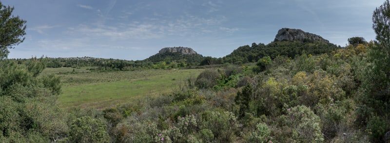 La garrigue de Pech Redon (Mai)