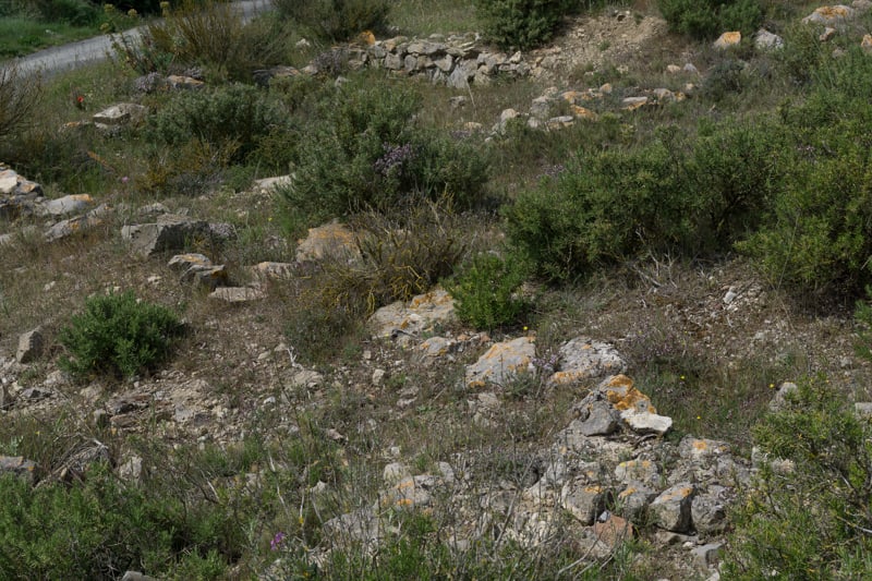Les vestiges de la villa gallo-romaine
