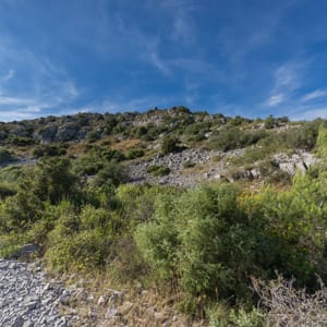 Habitat rocheux: Plateau de Figuières
