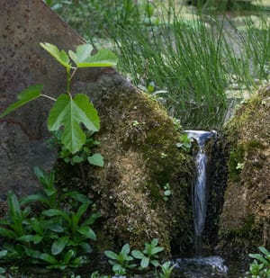 La source du Gourp