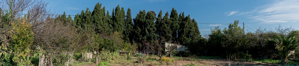 Jardin (haie de Cyprès) | Planasse