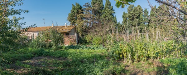 Jardin dans la Sagne