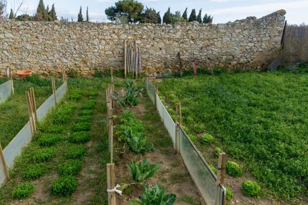 Jardin dans la Sagne