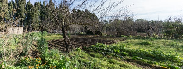 La terre travaillée