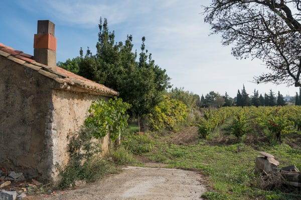 Maison de vigne | Oustalet