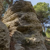 Falaise morte marno-calcaire à orbitolines de Tintaine