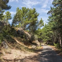 Falaise morte à Tintaine le Haut en bordure de la route bleue