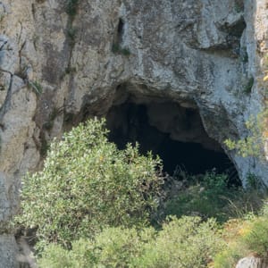 Entrée de la grotte I de las Caounos