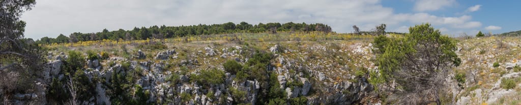 le plateau des Caunes et le trou de la Clape au mois de mai