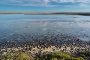 Craquelure du sol du bassin