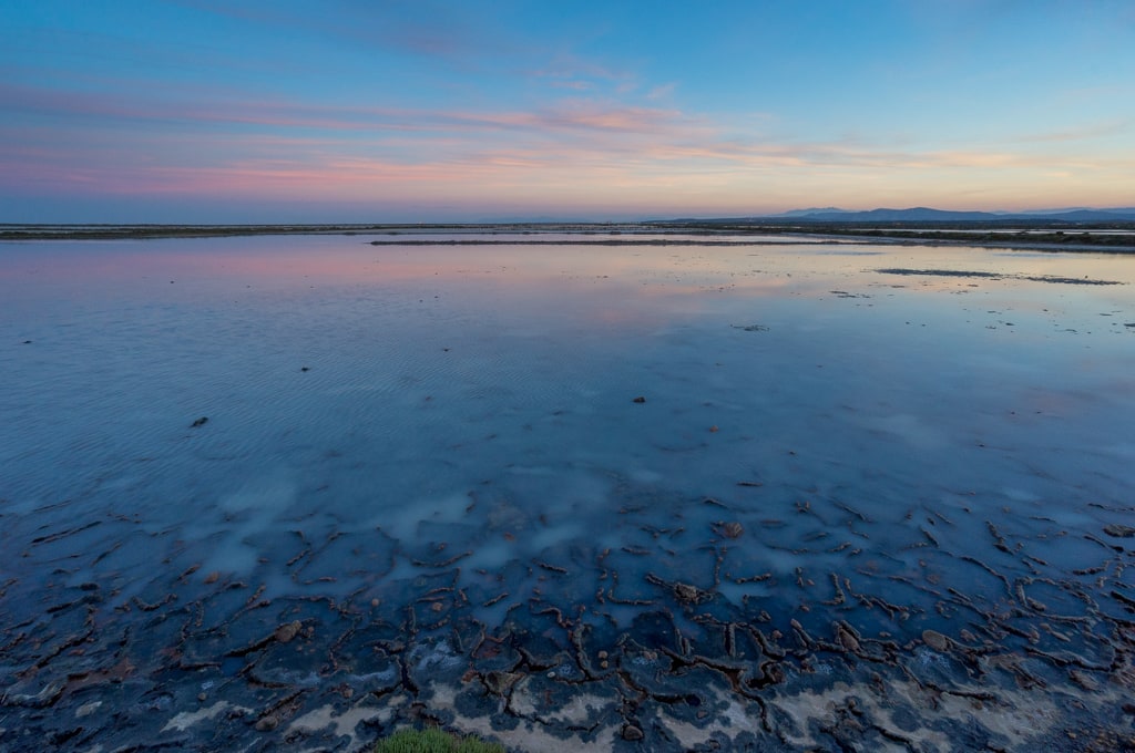 Sol craquelé du bassin: quand l'eau prend cette texture laiteuse